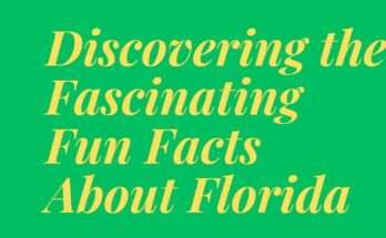 Discovering the Fascinating Fun Facts About Florida