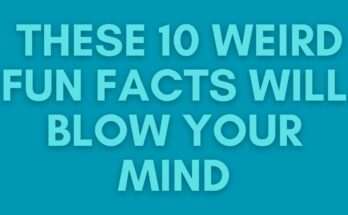 These 10 Weird Fun Facts Will Blow Your Mind